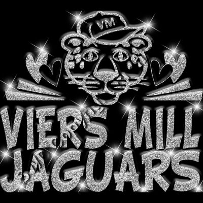 GLT88   SILVER GLITTER Thumbnail