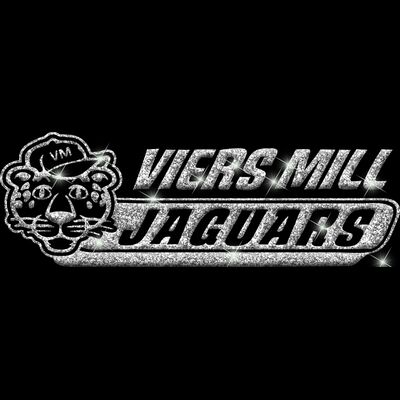 GLT102 SILVER GLITTER Thumbnail