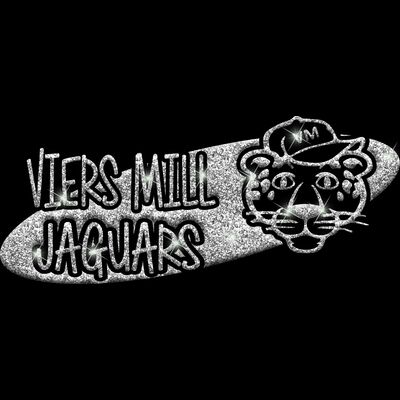 GLT100 SILVER GLITTER Thumbnail